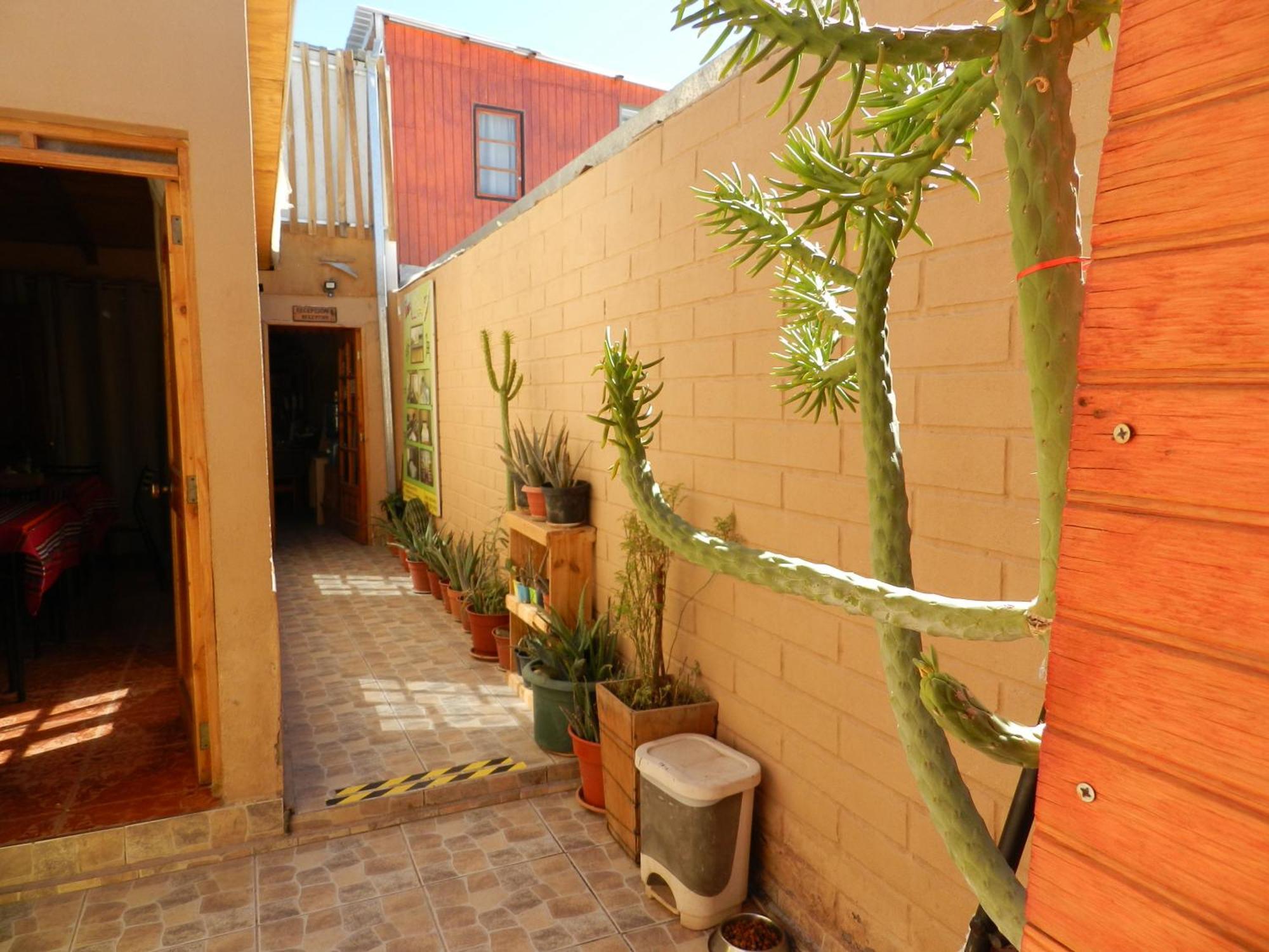Hostal Illari San Pedro de Atacama Eksteriør billede